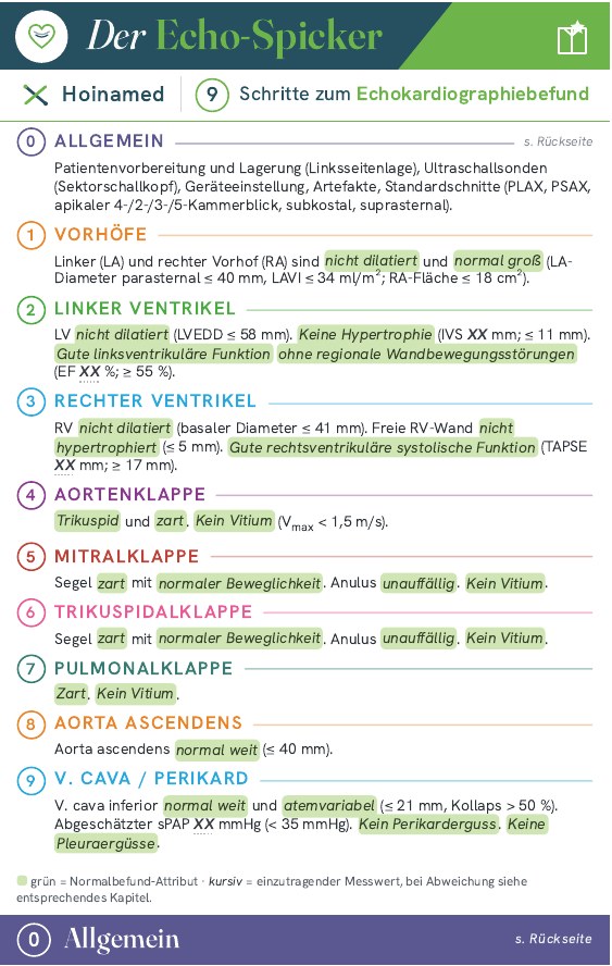 Der Echo-Spicker – Vorschau