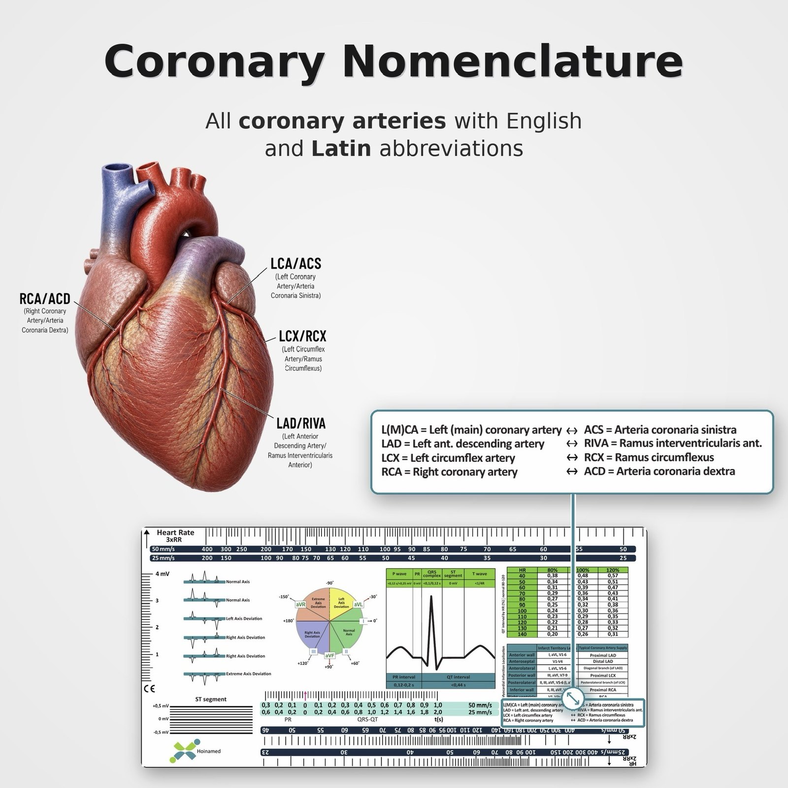 ECG Ruler – advertising image