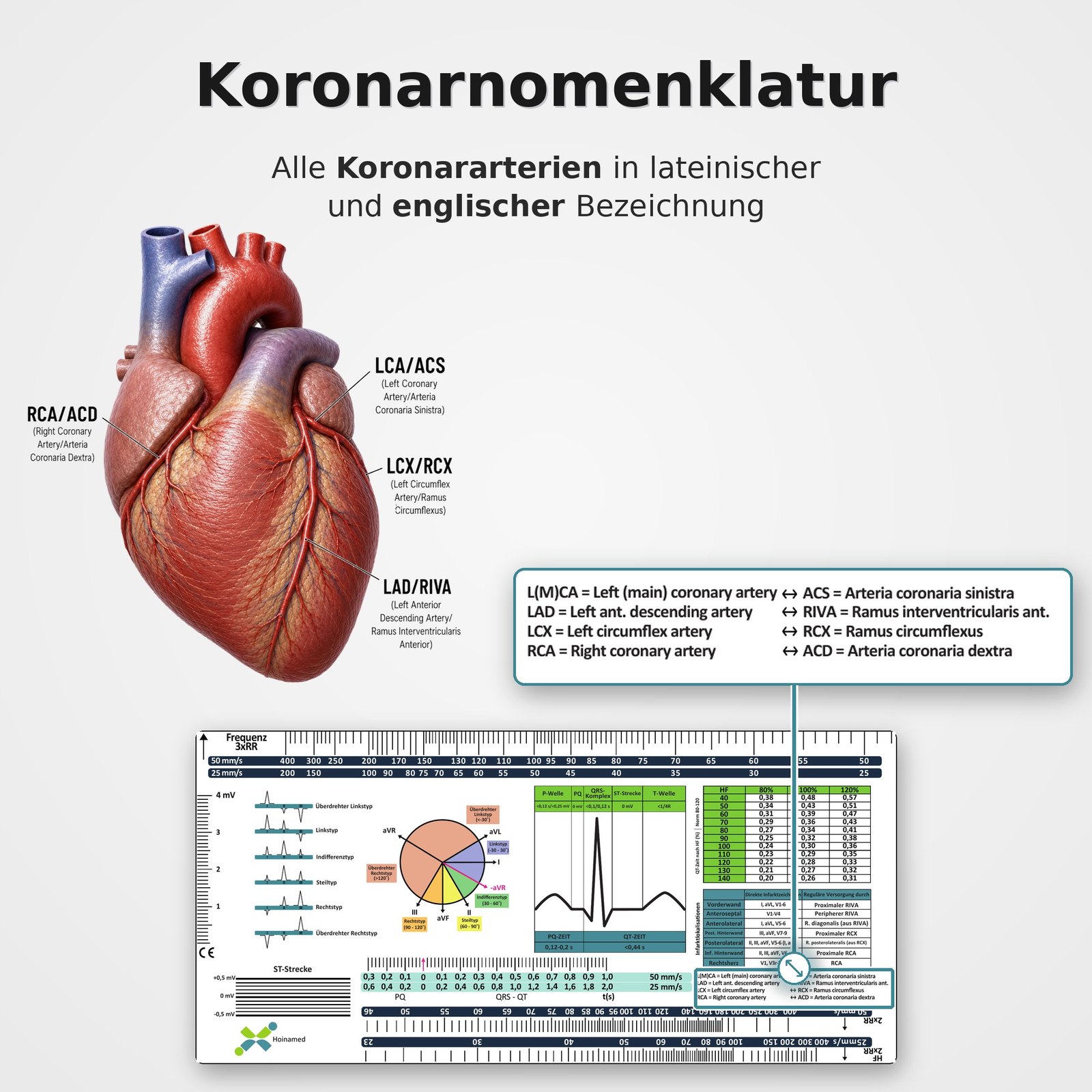 EKG-Lineal V2 – Werbebild