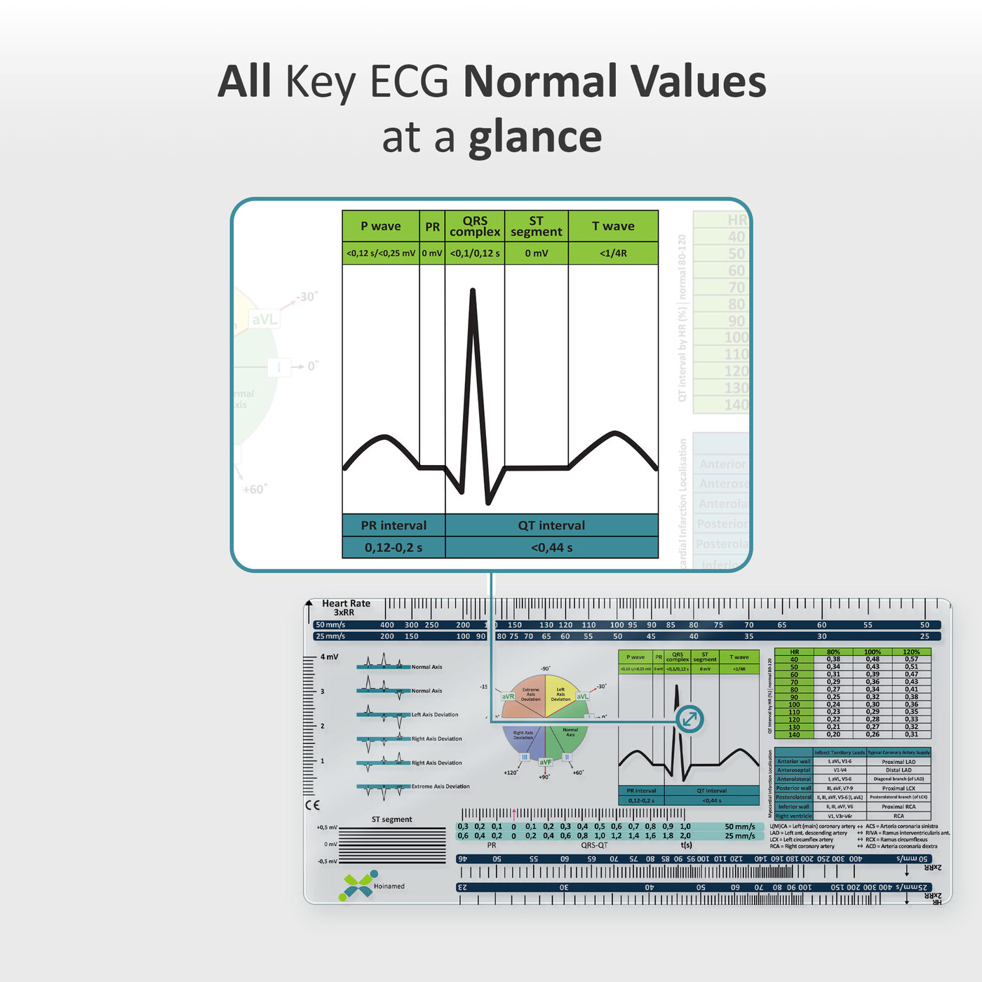 ECG Ruler: All key ECG normal values at a glance