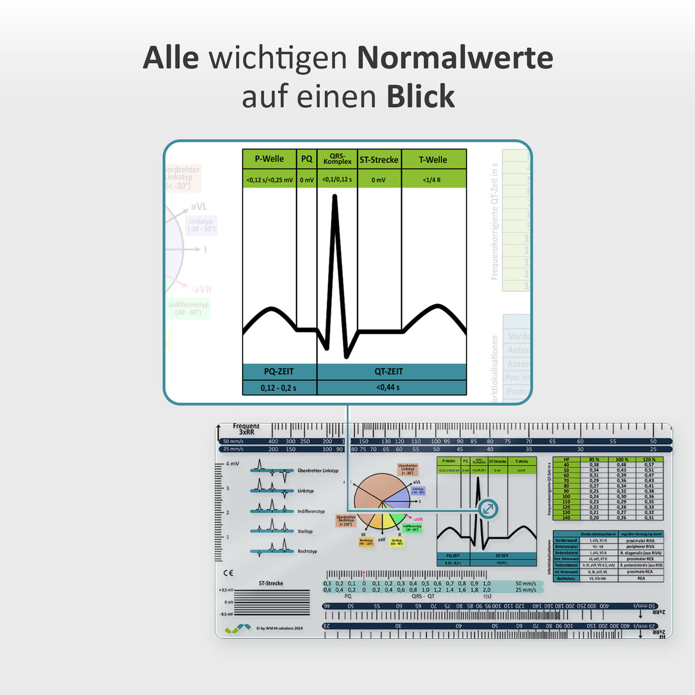 Normalwerte auf einen Blick