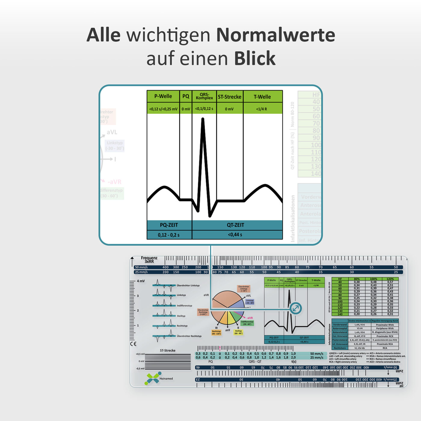 Normalwerte auf einen Blick