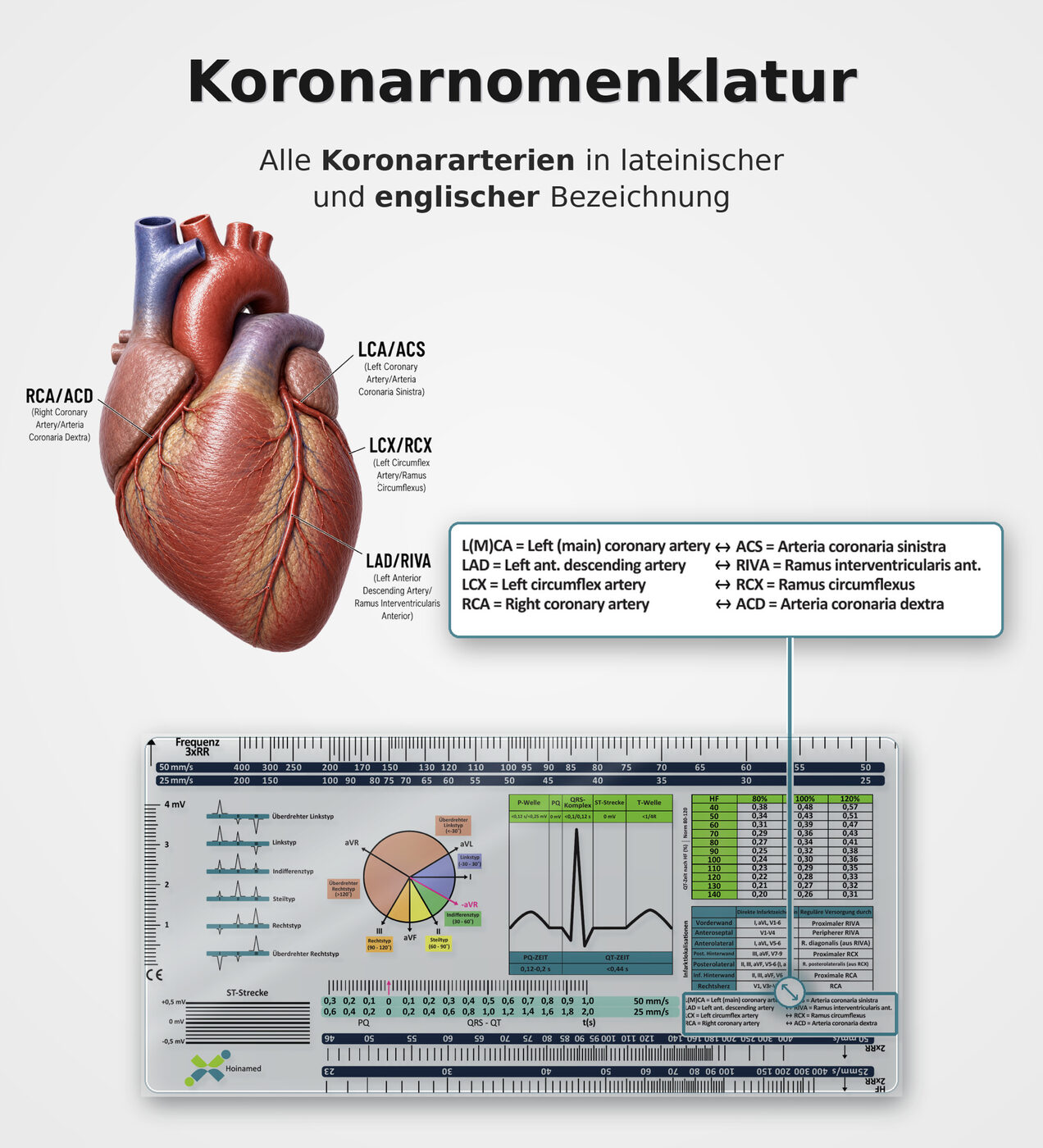 Koronarnomenklatur