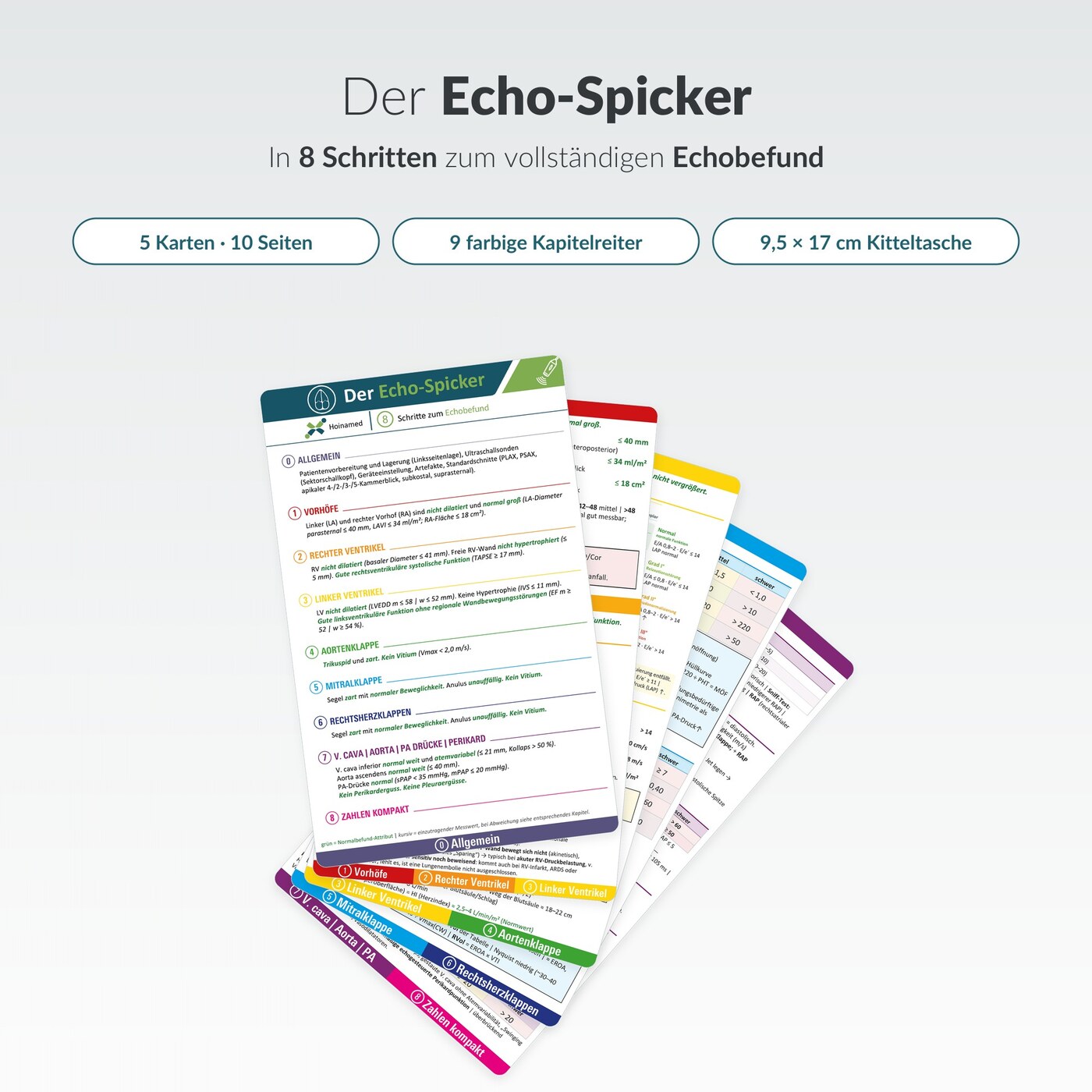 Echo-Spicker: Fünf Karten, ein System