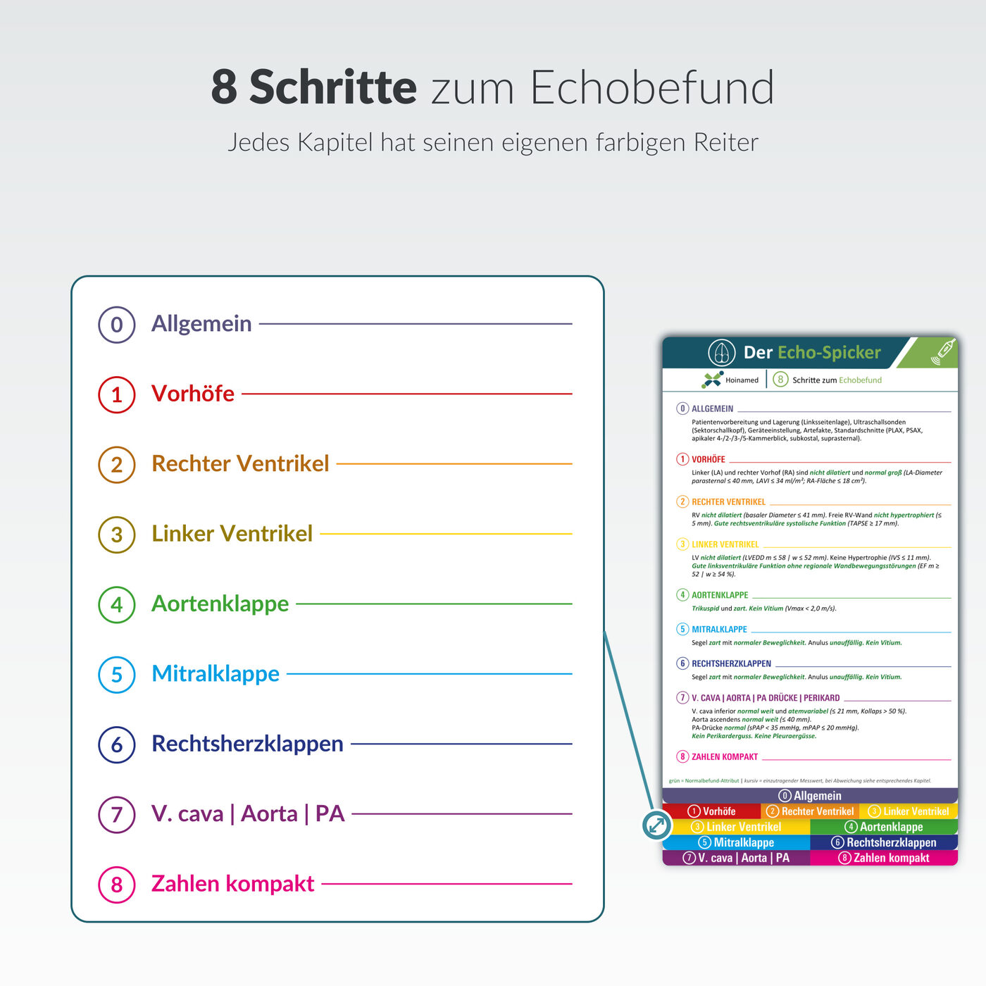 Echo-Spicker: 8 Schritte zum Echobefund