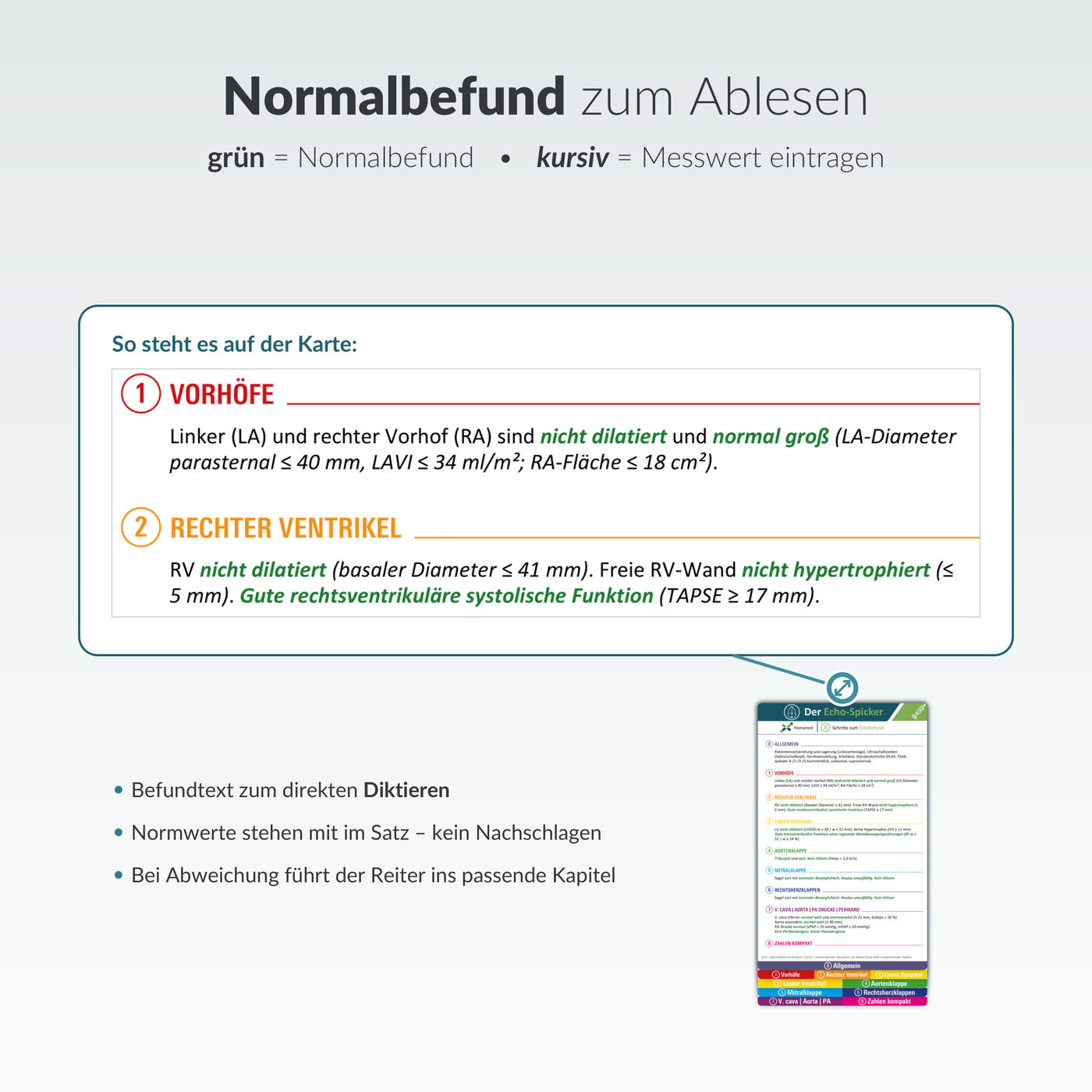 Echo-Spicker: Normalbefund zum Ablesen