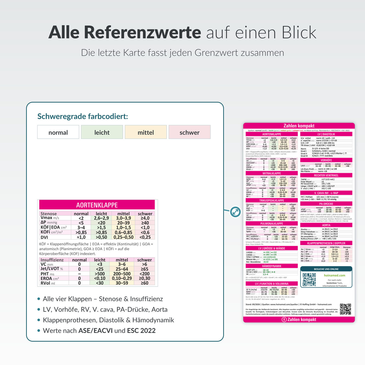 Echo-Spicker: Alle Referenzwerte auf einen Blick