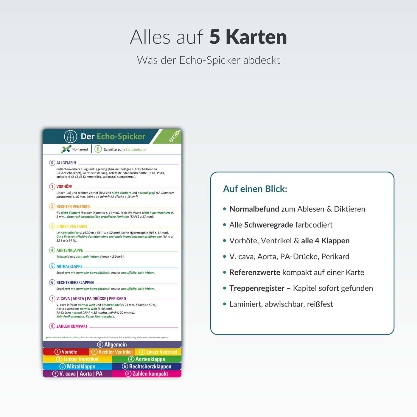 Echo-Spicker: Alles auf fünf Karten