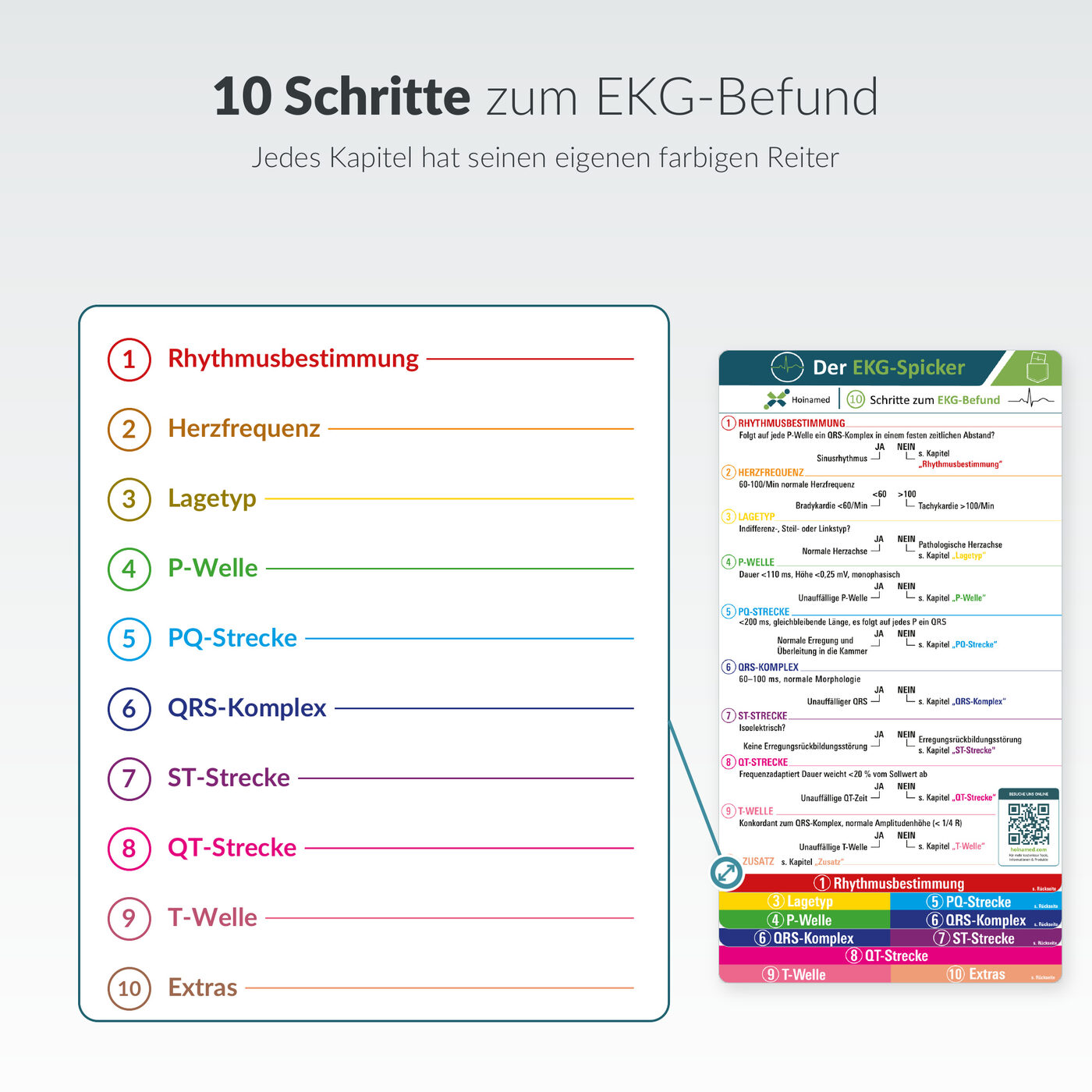 EKG-Spicker: 10 Schritte zum EKG-Befund
