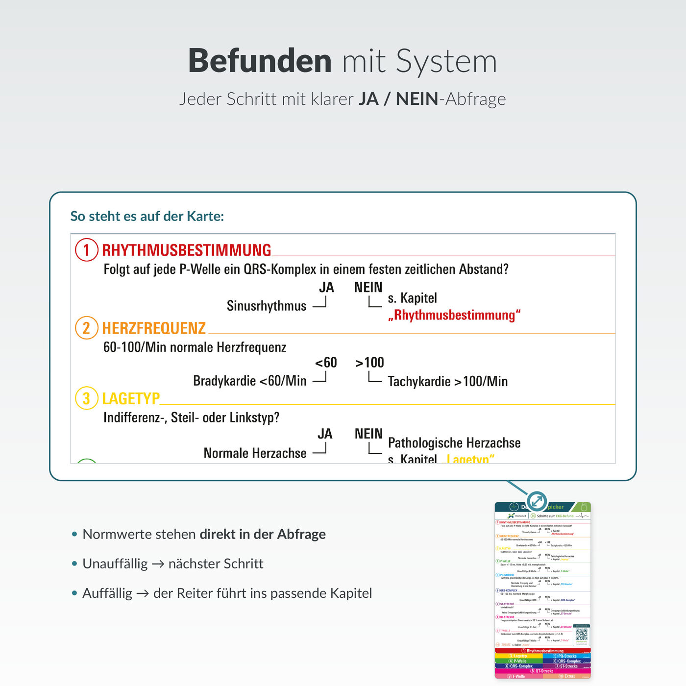 EKG-Spicker: Befunden mit System