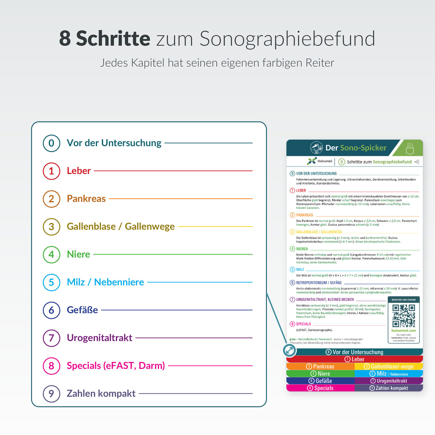 Sono-Spicker: 8 Schritte zum Sonographiebefund