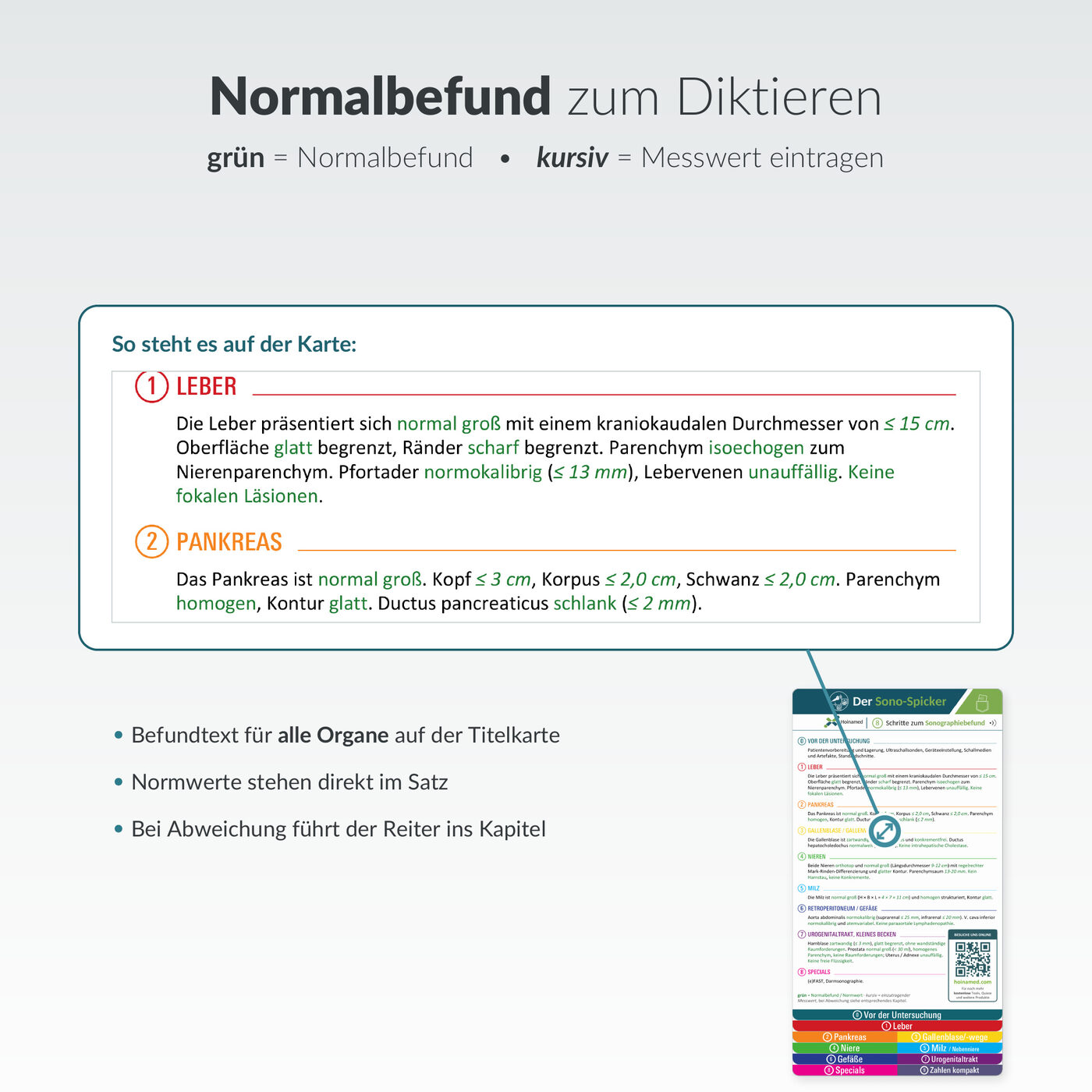Sono-Spicker: Normalbefund zum Diktieren