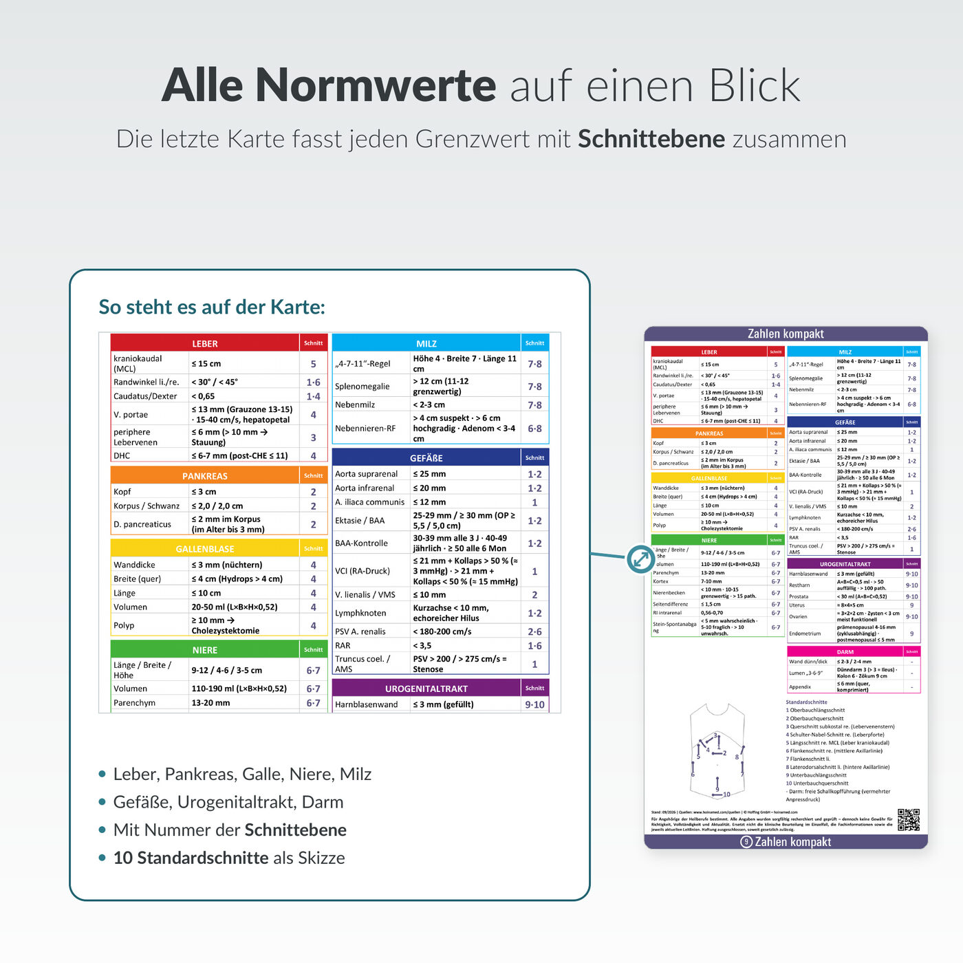 Sono-Spicker: Alle Normwerte auf einen Blick